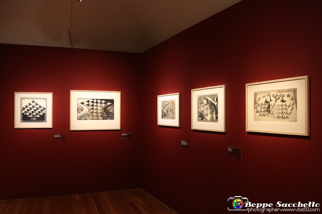 VBS_4966 - Mostra Escher.jpg